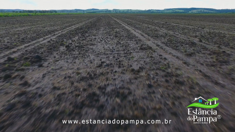 DOS EÓLICOS VIRA P FAZENDA_Moment.00_00_46_24.Quadro209_a82d65c60920dd032b60f287659a0bbb3f138371.jpg